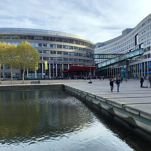 The Hague University