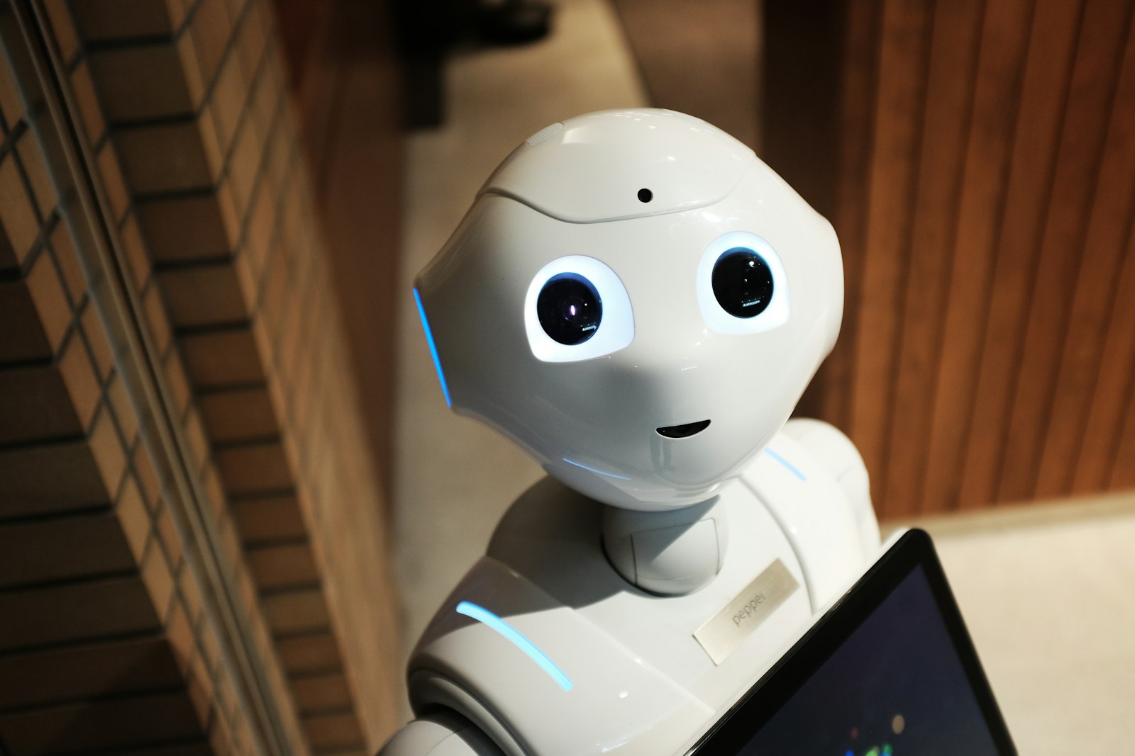 UNINOVIS Research Workshop on AI and Robotics